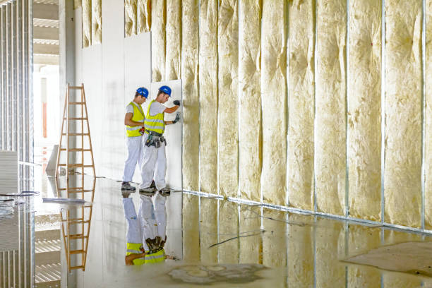 Best Types of Insulation in Princeton, FL